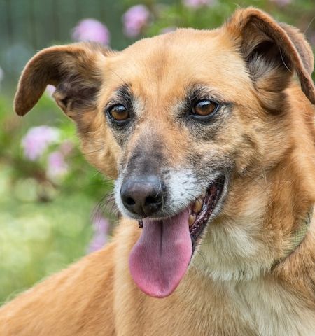 Sunny - eine selbstvewusste Dame