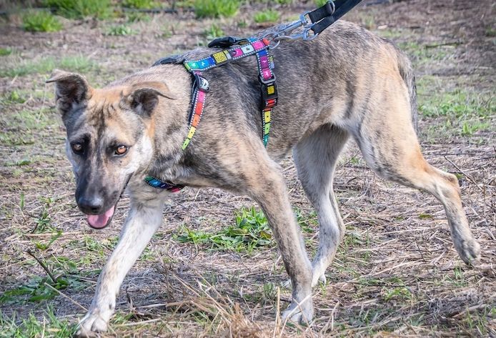 Jennifer - ein liebes Mädchen