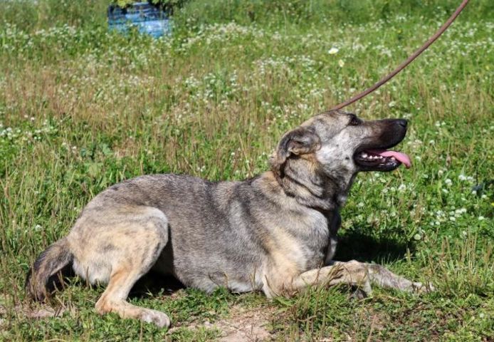 Jennifer - ein liebes Mädchen