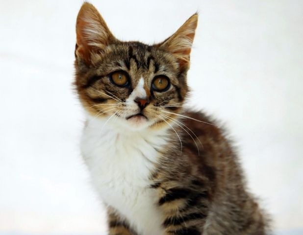 Kim - ein kleines Glückskind