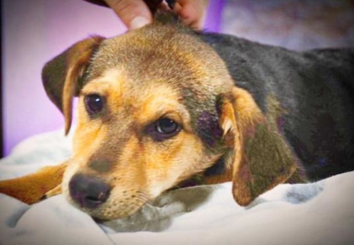 Moritz - ein kleiner Charmeur