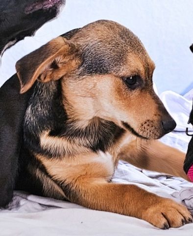 Moritz - ein kleiner Charmeur