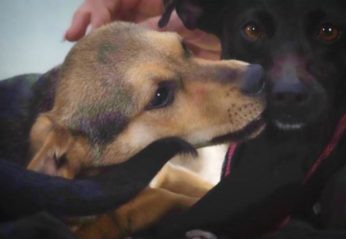 Moritz - ein kleiner Charmeur