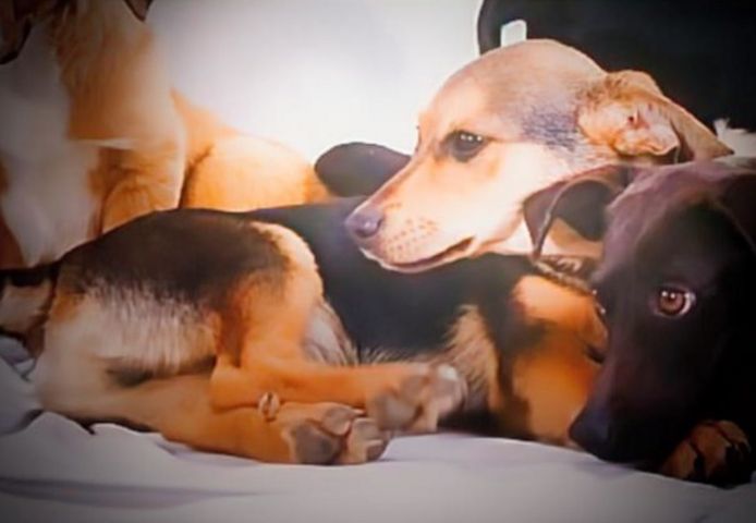 Moritz - ein kleiner Charmeur