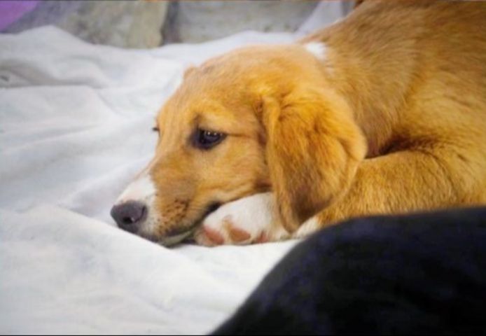 Max - fröhlich und verspielt