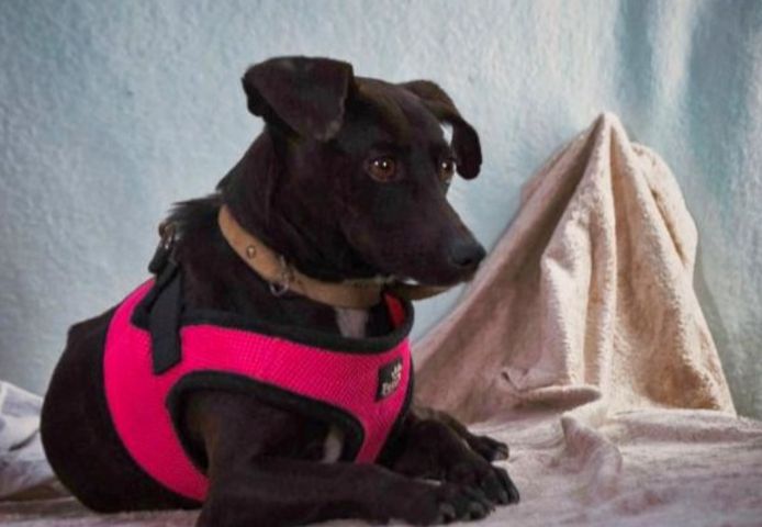 Marisa - ein liebes Mädchen