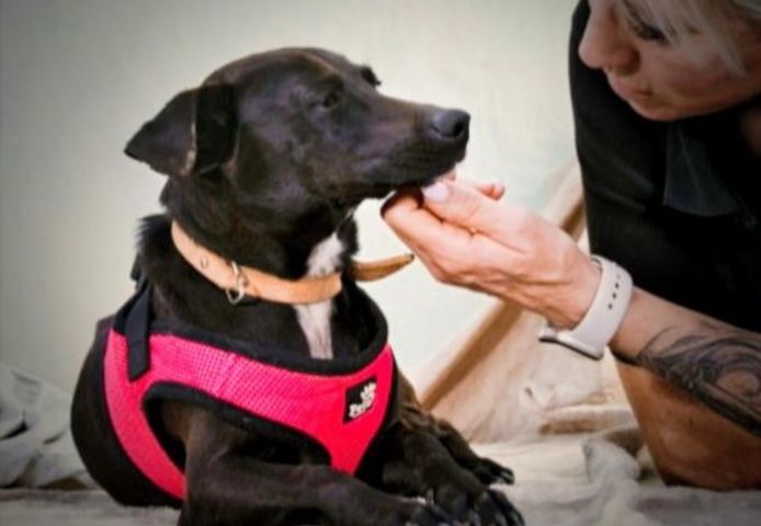 Marisa - ein liebes Mädchen