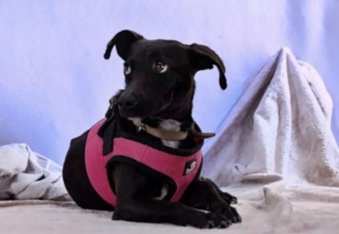 Marisa - ein liebes Mädchen