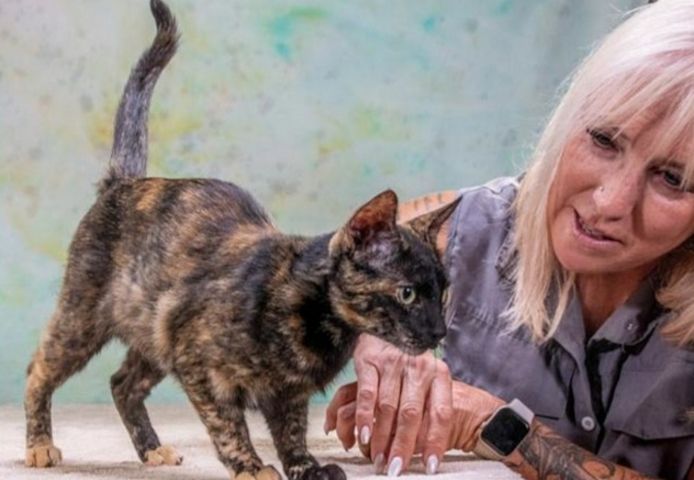 Esperanca - eine feine Lady