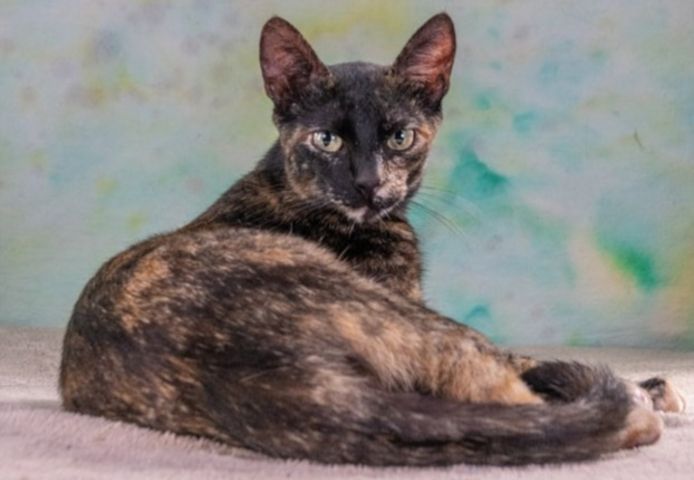 Esperanca - eine feine Lady