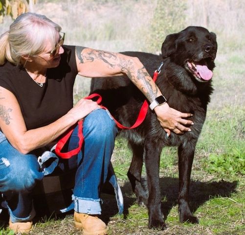 Mike - ein Goldschatz