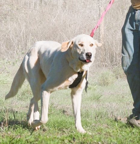 Doya - ein großer Schatz