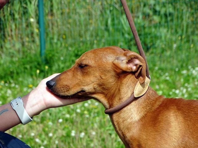 Ciana - eine sanfte Nachzüglerin