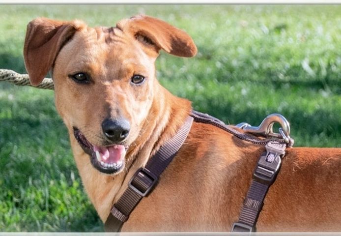 Ciana - eine sanfte Nachzüglerin