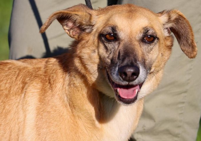 Sunny - eine selbstbewusste Dame