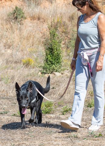 Luke - ein prima Kumpel