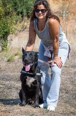 Luke - ein prima Kumpel