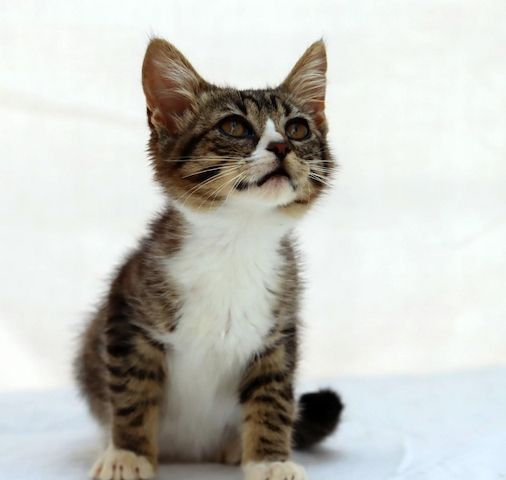 Kim - ein kleines Glückskind