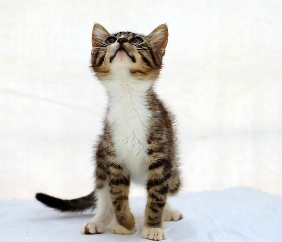 Kim - ein kleines Glückskind