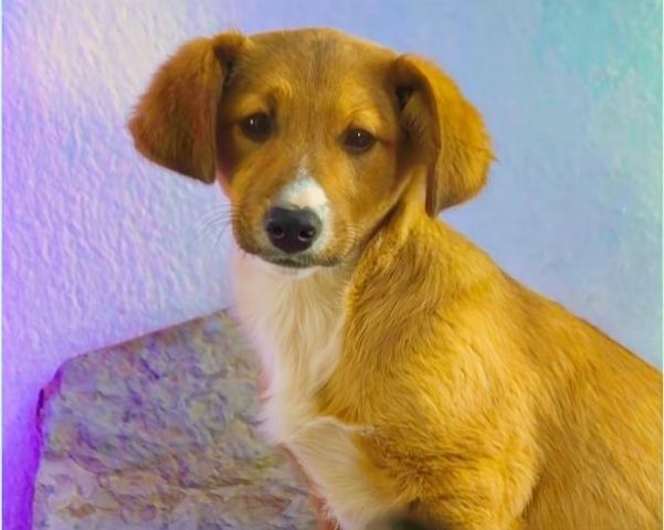 Max - fröhlich und verspielt