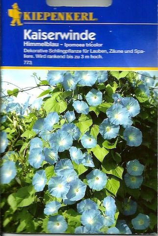 Jetzt ist ideale Pflanzzeit ! Gebe kostenlos Nachzuchtssamen von der Kaiserwinde ( blau ) ab !