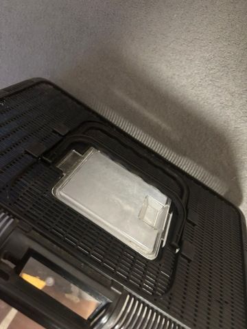 Griechische Landschildkröte