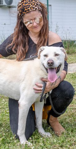 Lucas - ein aktiver Begleiter