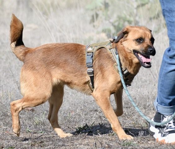 Caju - sensibel und liebevoll