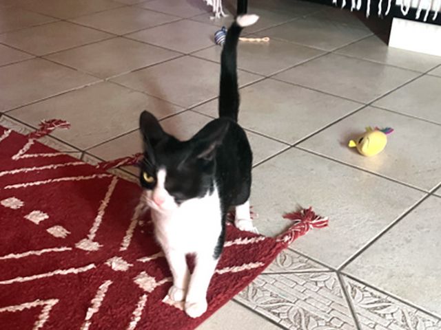 NOFRETETE - auch einäugig schön