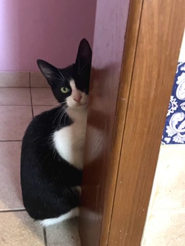 NOFRETETE - auch einäugig schön