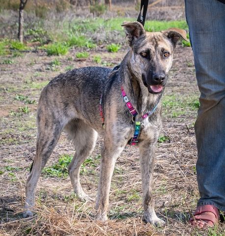 Jennifer - ein liebes Mädchen