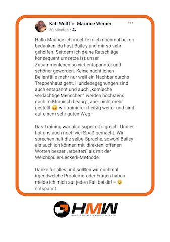 Professionelles Hundetraining – Persönlich oder auch via Video