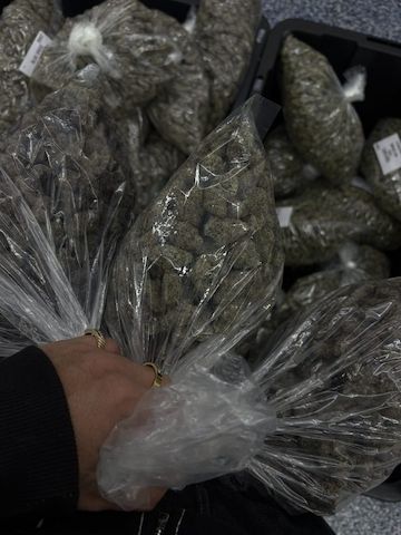 Hochwertige Artikel verfügbar. Schreiben Sie mir eine E-Mail oder kontaktieren Sie mich jetzt.