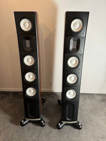 Raidho C3.1 High End Standlautsprecher