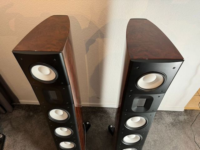 Raidho C3.1 High End Standlautsprecher