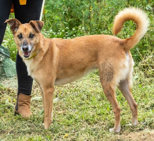 Sunny - eine selbstbewusste Dame