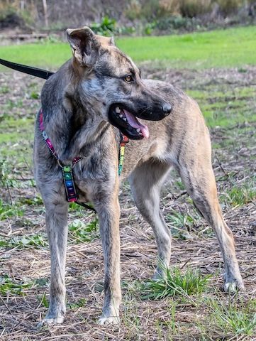 Jennifer - ein liebes Mädchen