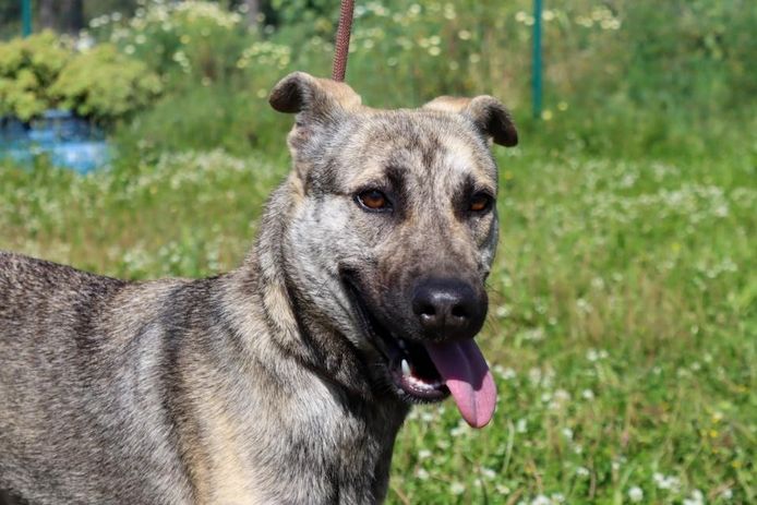 Jennifer - ein liebes Mädchen