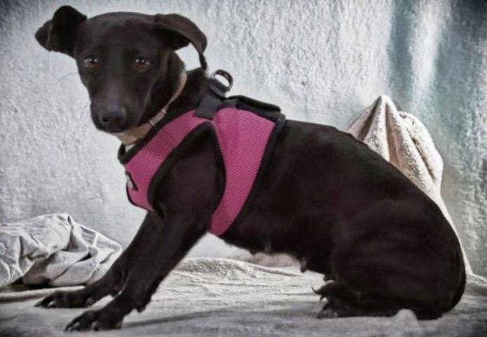 Marisa - ein liebes Mädchen