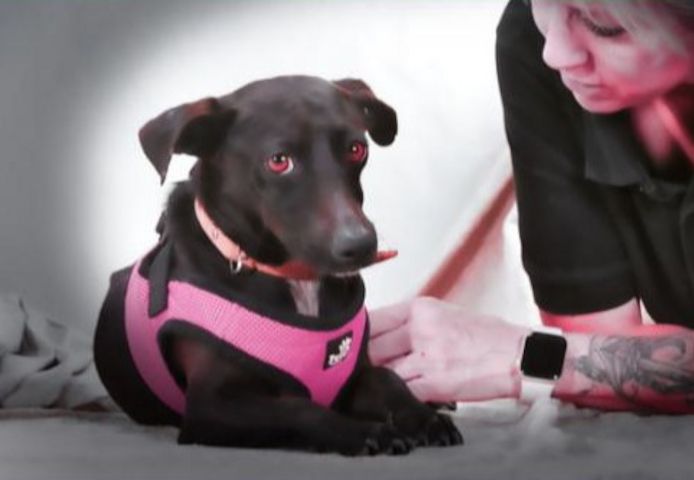 Marisa - ein liebes Mädchen