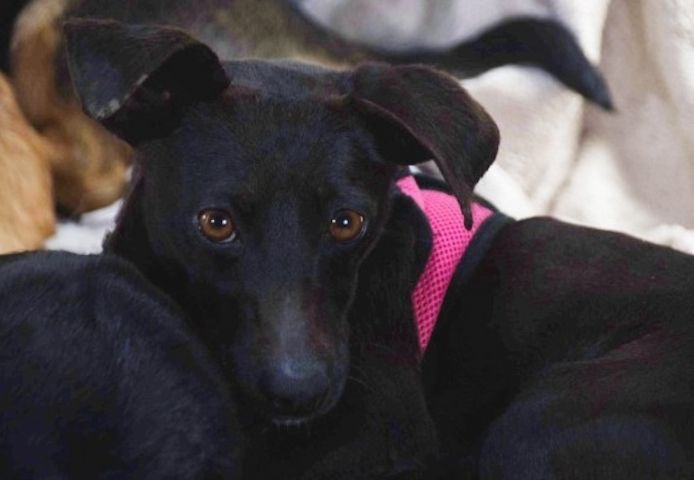 Marisa - ein liebes Mädchen