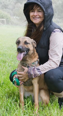 Sweet - junger Wirbelwind mit Herz