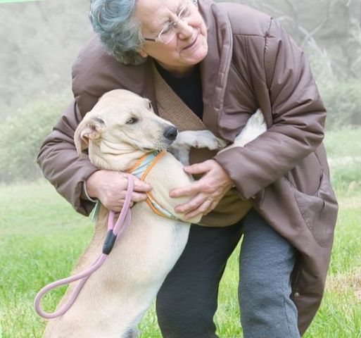 Chris - freundlich und neugierig