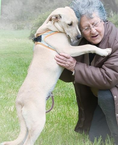 Chris - freundlich und neugierig