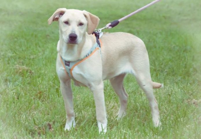 Chris - freundlich und neugierig