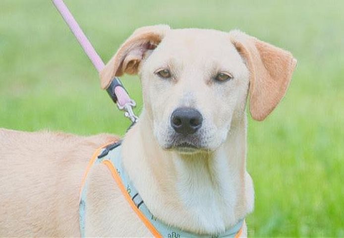 Chris - freundlich und neugierig