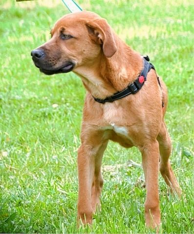 Mattheo - will die Welt entdecken