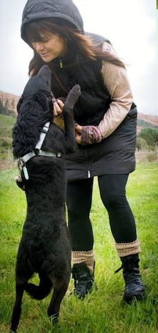 Lloyd - ein liebevoller Schmuser