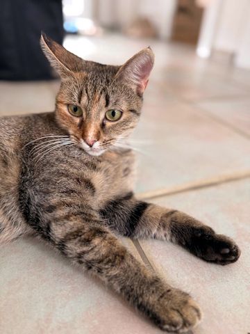 MINA - temperamentvolle Kuschelqueen