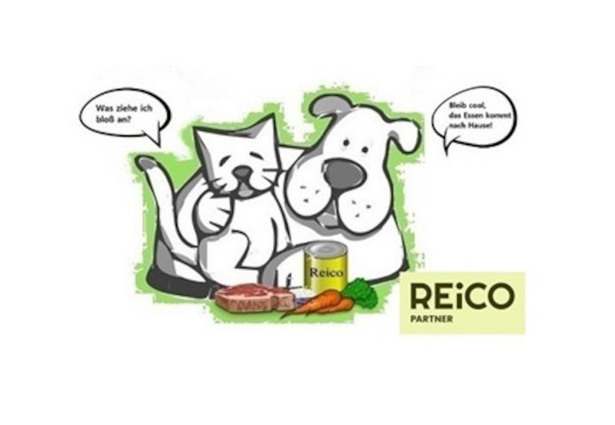 Wie sollte das optimale Futter für deinen Hund aussehen?